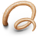Pig`s Tail icon